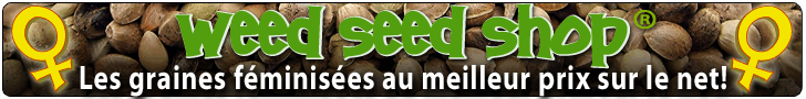 Weed Seed Shop