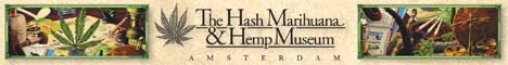 The Hash Marihuana Hemp Museum