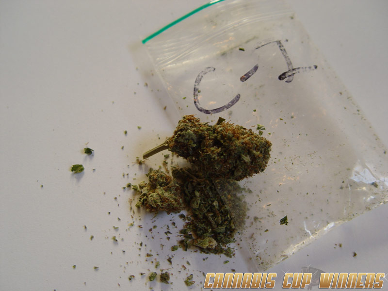 Entry CI